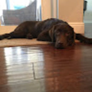 Meet your Posher, Jj